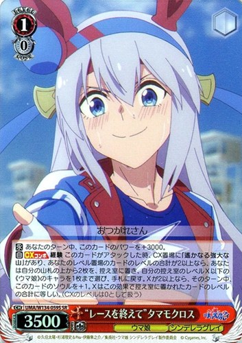 【ヴァイス】ＳＲ◇“レースを終えて”タマモクロス キズなし買取