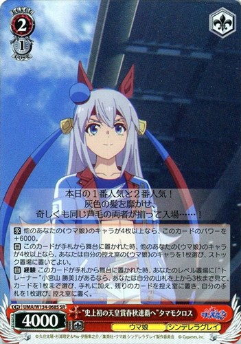 【ヴァイス】ＳＲ◇“史上初の天皇賞春秋連覇へ”タマモクロス キズなし買取