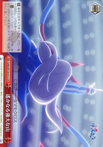 【ヴァイス】ＣＲ◇遙かなる強大な山 キズなし買取