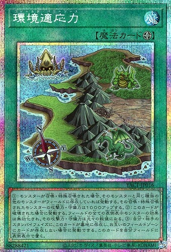 【遊戯王】PSE◇環境適応力 キズなし買取