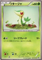 【ポケカ】C◇ツタージャ