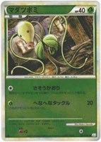 マダツボミ[ミラー仕様]