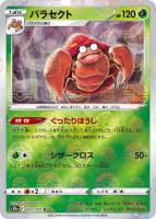 ファッション通販 安い 野盗三姉妹[ミラー仕様]【ポケモンカードトレカお買得価格通販 ポケモンカードゲーム