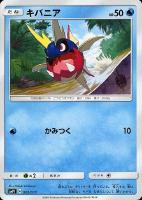 プレイヤーズセレモニー2018【ポケモンカードトレカ高価買取