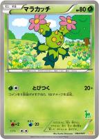 【ポケカ】SS◇マラカッチ
