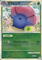 ラフレシア[ミラー仕様]