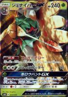 【ポケカ】ＲＲ◇ジュナイパーＧＸ[ＲＲ仕様]