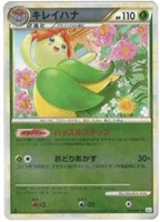 キレイハナ[ミラー仕様]