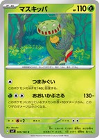 【ポケカ】C◇マスキッパ