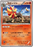 【ポケカ】SS◇カエンジシ