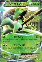 【ポケカ】キラ仕様◇ジュカインEX