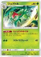 カメックス SM12a 031/173 40枚セット ポケカ Amazon.co.jp: ポケモンカードゲーム SM12a 031/173 カメックス