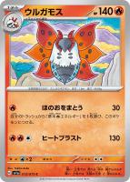 キハダ【ポケモンカードトレカお買得価格通販：トレコロ】
