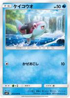 【ポケカ】C◇ケイコウオ