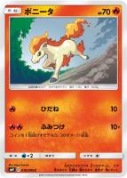 【ポケカ】C◇ポニータ
