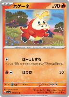 【ポケカ】C◇ホゲータ