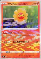 コクーン[ミラー仕様]【ポケモンカードトレカお買得価格通販