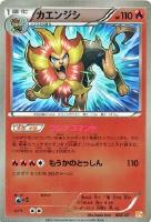 【ポケカ】キラ仕様◇カエンジシ