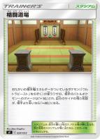 【ポケカ】SS◇格闘道場