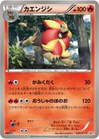 Amazon.co.jp: XY-P 第2弾 ジムプロモ コンプ : おもちゃ