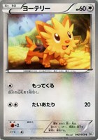 【ポケカ】C◇ヨーテリー