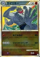 カイリキー[ミラー仕様]