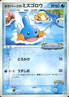 ポケパークのミズゴロウ