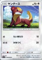 ソルガレオGX【ポケモンカードトレカ高価買取価格査定：トレコロ】