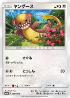 【ポケカ】C◇ヤングース