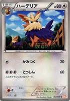 【ポケカ】C◇ハーデリア