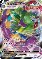ドクター ポケモンカードトレカお買得価格通販 トレコロ