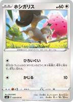 カトレア【ポケモンカードトレカお買得価格通販:トレコロ】 カトレア【ポケモンカードトレカお買得価格通販:トレコロ】