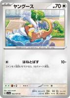 【ポケカ】C◇ヤングース