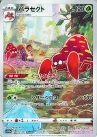 【ポケカ】CHR◇パラセクト