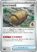 古びたたての化石