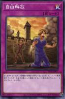 【遊戯王】ノーマル)罠◇自由解放