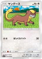 【ポケカ】C◇ヤングース