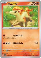 フーディンex【ポケモンカードトレカお買得価格通販：トレコロ】