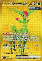ベルのまごころ【ポケモンカードトレカお買得価格通販：トレコロ】