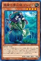 【遊戯王】ノーマル)モンスター◇森羅の葉心棒 ブレイド