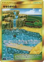 コイキング ホエルオーgx ポケモンカードトレカお買得価格通販 トレコロ コイキング ホエルオーgx ポケモンカードトレカお買得価格通販 トレコロ