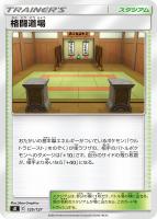 【ポケカ】SS◇格闘道場