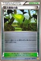 【ポケカ】キラ仕様◇巨大植物の森