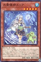 水霊媒師エリア