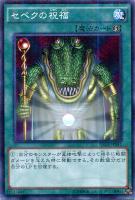 【遊戯王】ミレニアムレア◇セベクの祝福