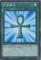 青眼の白龍【遊戯王トレカお買得価格通販：トレコロ】