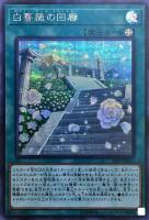【遊戯王】シークレットレア◇白薔薇の回廊