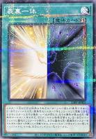 【遊戯王】パラレルレア◇表裏一体