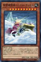 ガーデン・ローズ・メイデン【遊戯王トレカ高価買取価格査定