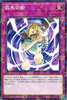 【遊戯王】パラレルレア◇因果切断